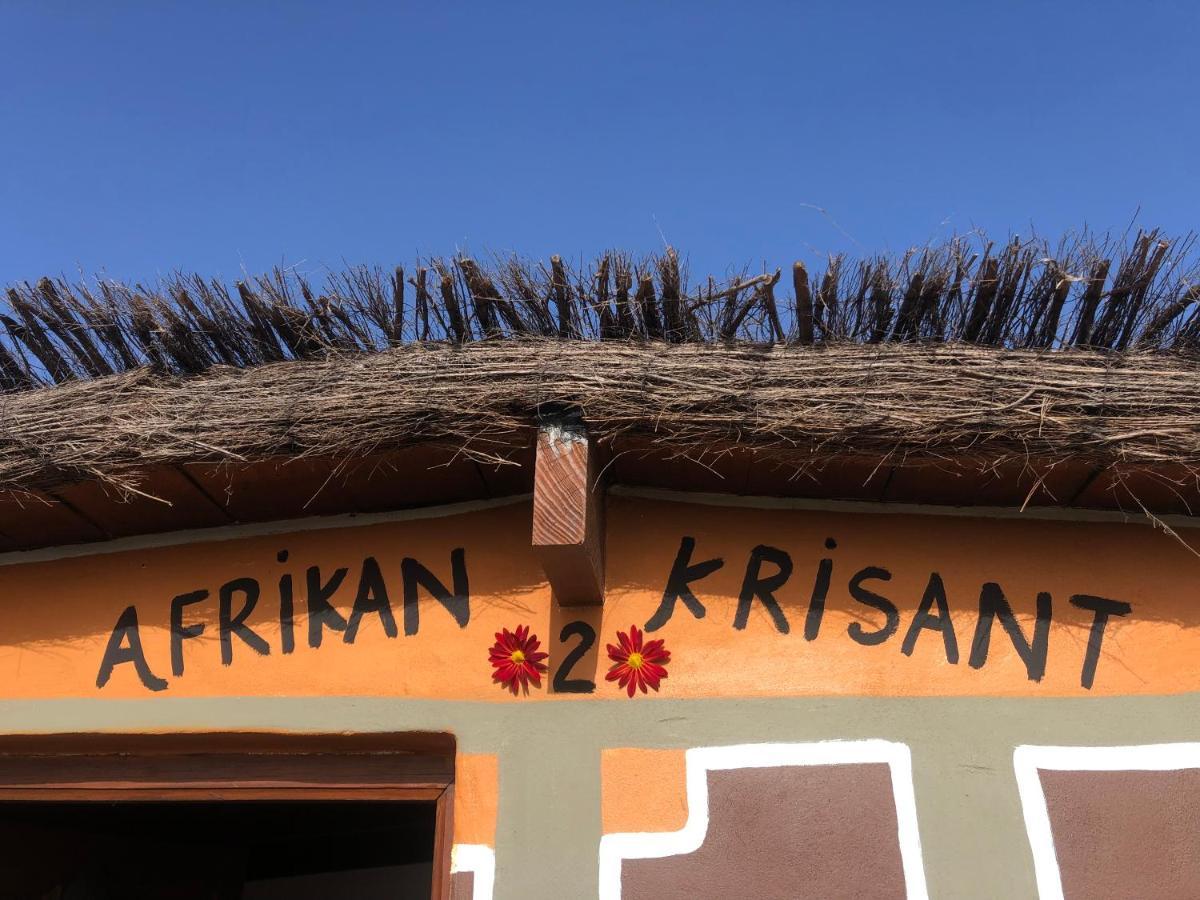 Afrikan Krisant Tenerife, Casa Rural Ecologica Arafo Zewnętrze zdjęcie