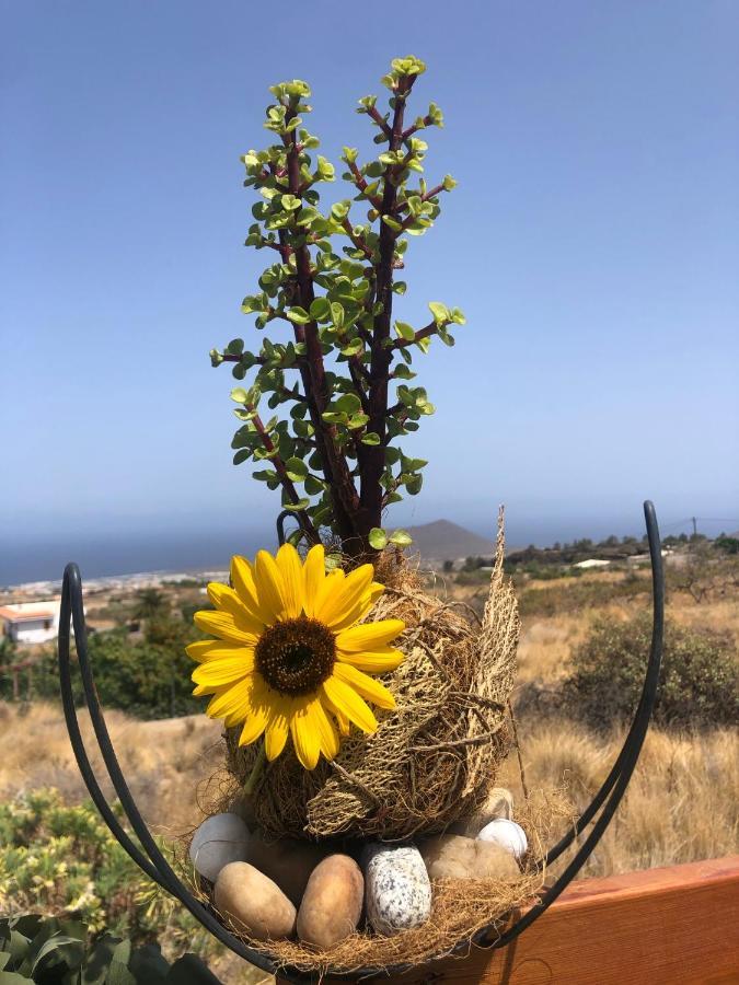 Afrikan Krisant Tenerife, Casa Rural Ecologica Arafo Zewnętrze zdjęcie