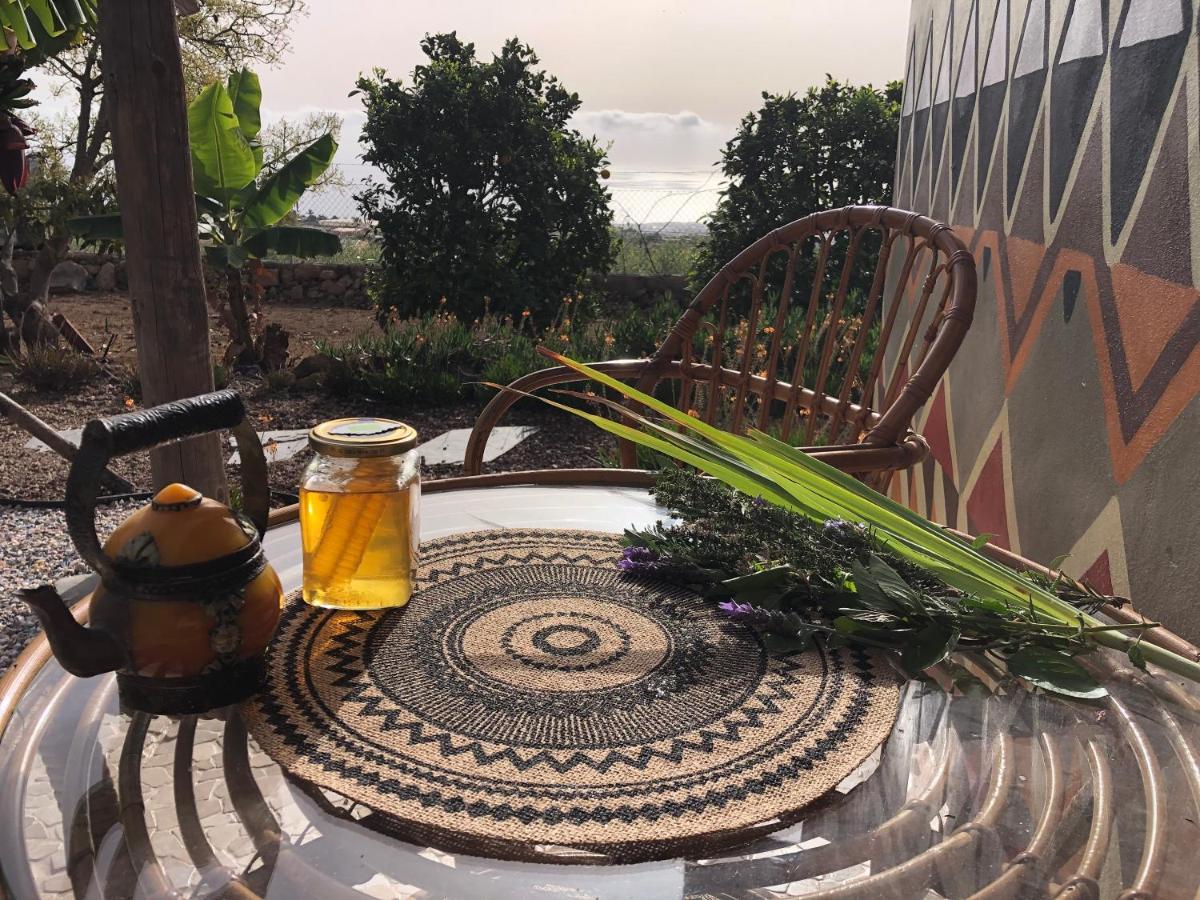 Afrikan Krisant Tenerife, Casa Rural Ecologica Arafo Zewnętrze zdjęcie