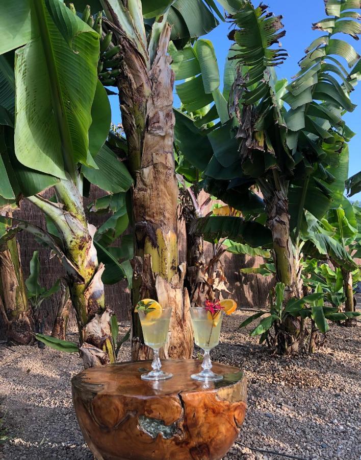 Afrikan Krisant Tenerife, Casa Rural Ecologica Arafo Zewnętrze zdjęcie