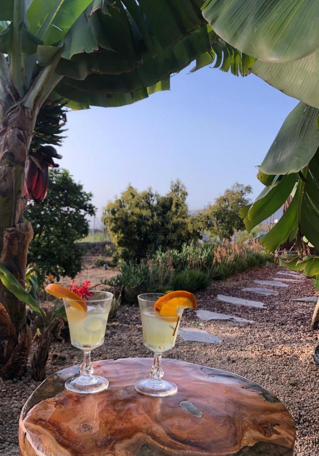 Afrikan Krisant Tenerife, Casa Rural Ecologica Arafo Zewnętrze zdjęcie