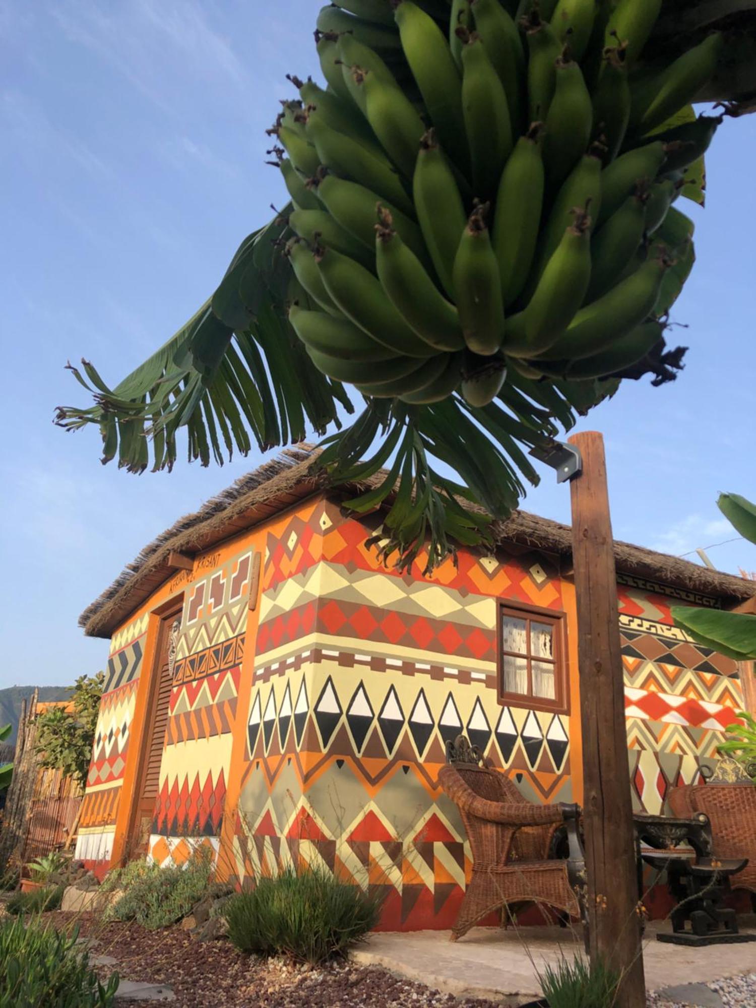 Afrikan Krisant Tenerife, Casa Rural Ecologica Arafo Zewnętrze zdjęcie