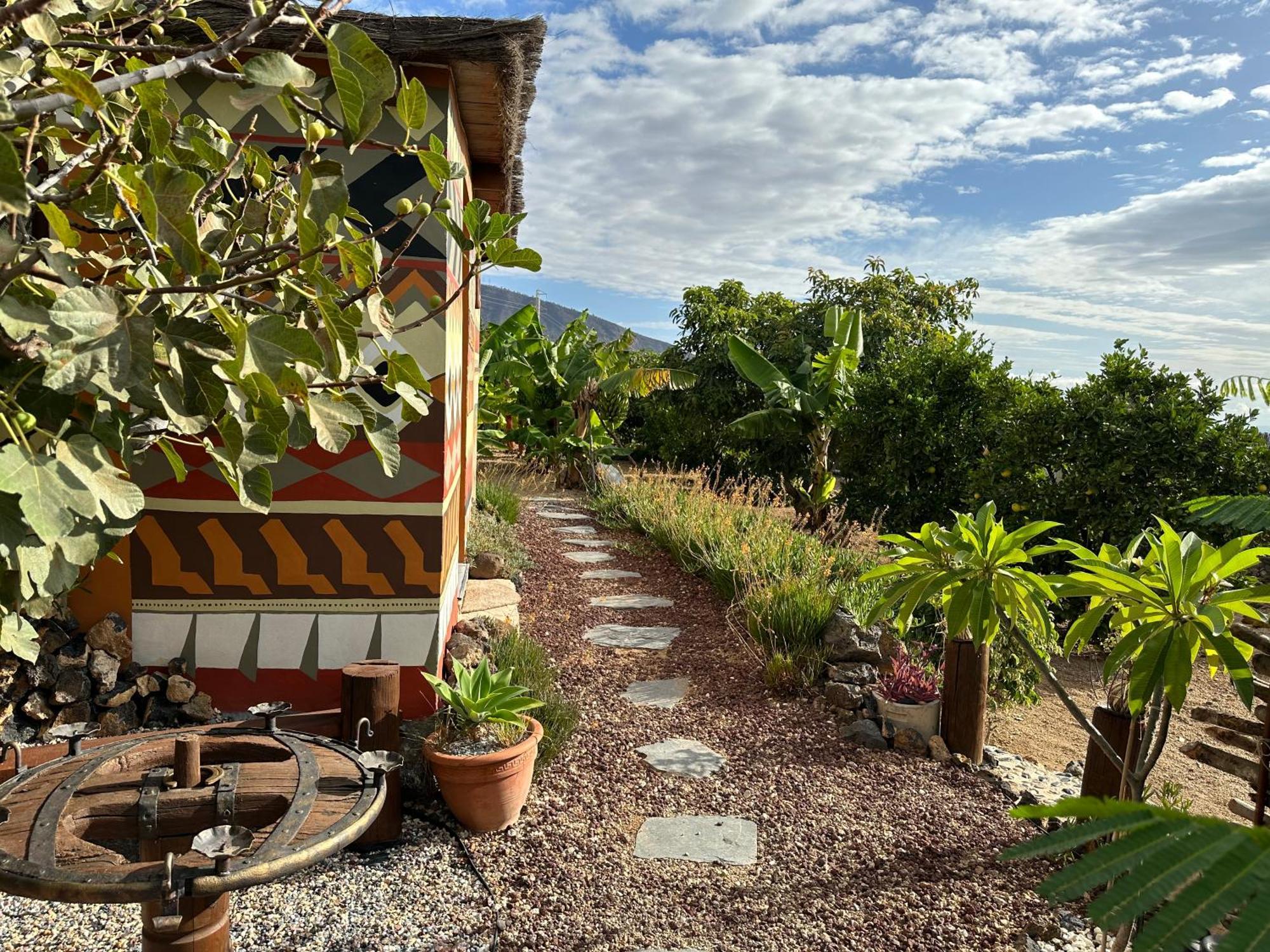 Afrikan Krisant Tenerife, Casa Rural Ecologica Arafo Zewnętrze zdjęcie